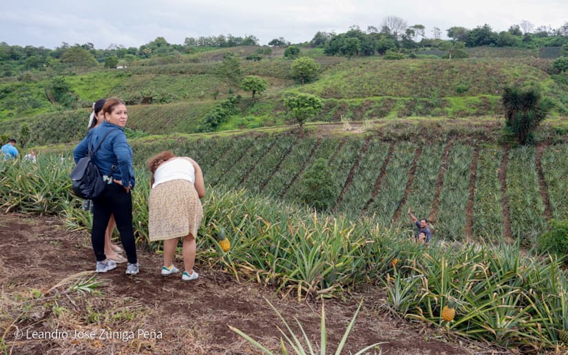 Pinaco-en-Ticuantepe-53