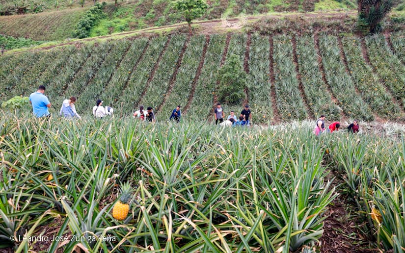 Pinaco-en-Ticuantepe-54