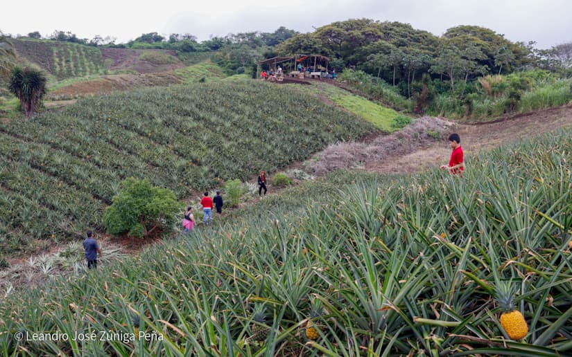 Pinaco-en-Ticuantepe-56