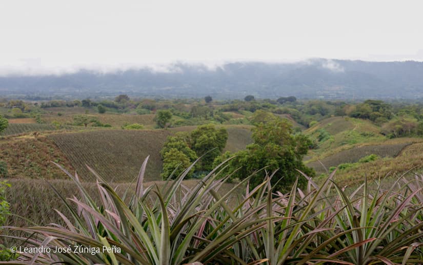 Pinaco-en-Ticuantepe-57