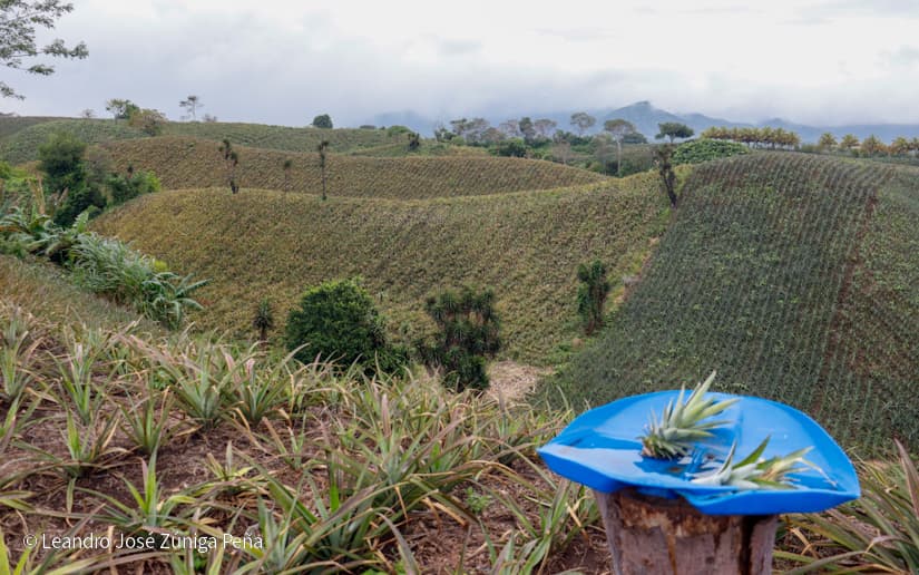 Pinaco-en-Ticuantepe-58