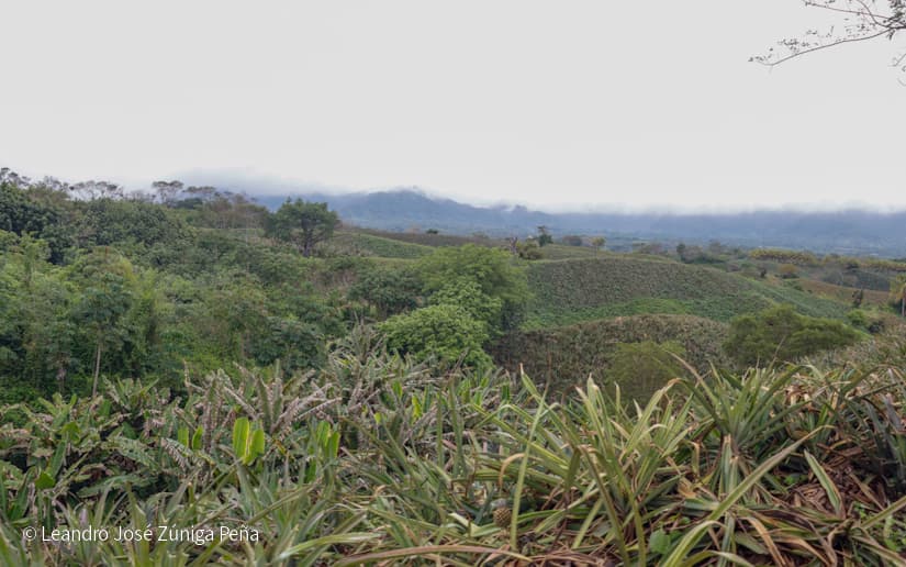 Pinaco-en-Ticuantepe-59