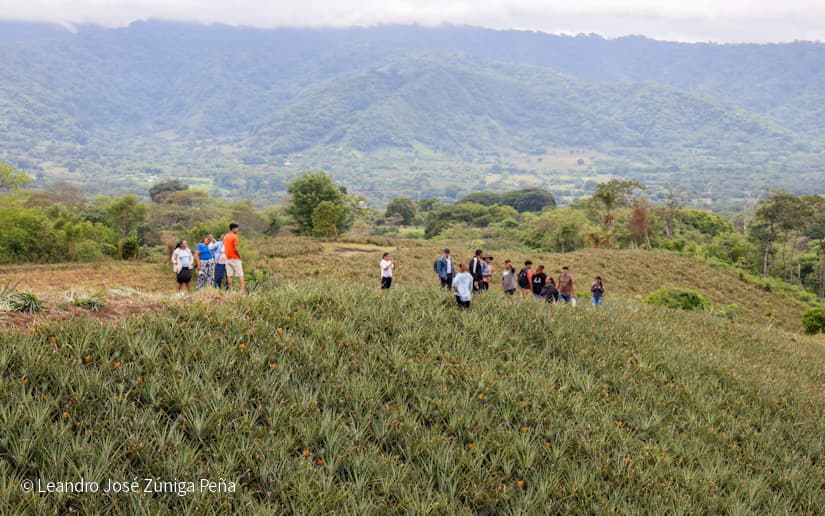 Pinaco-en-Ticuantepe-6