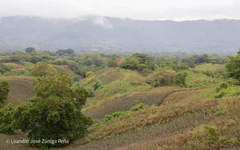 Pinaco-en-Ticuantepe-60