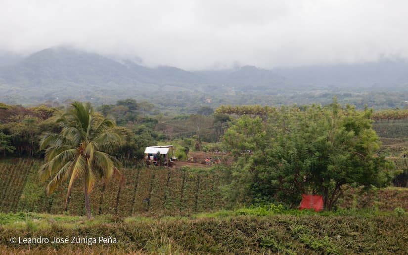 Pinaco-en-Ticuantepe-61
