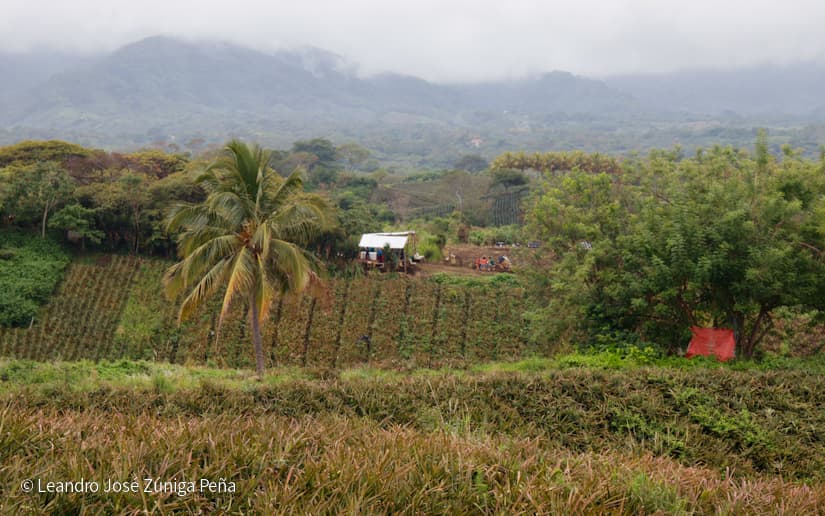 Pinaco-en-Ticuantepe-62