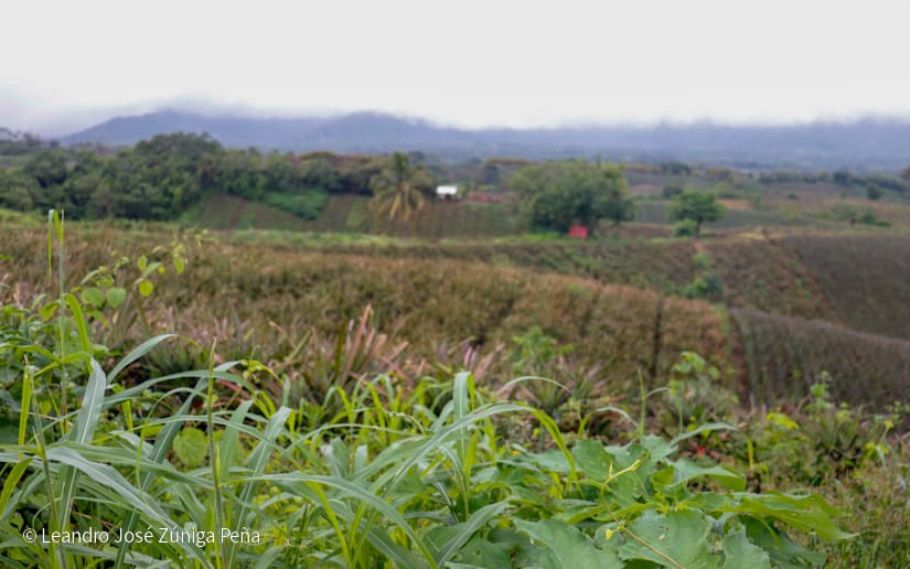 Pinaco-en-Ticuantepe-63