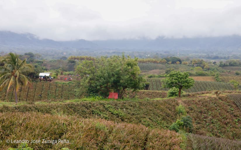 Pinaco-en-Ticuantepe-65