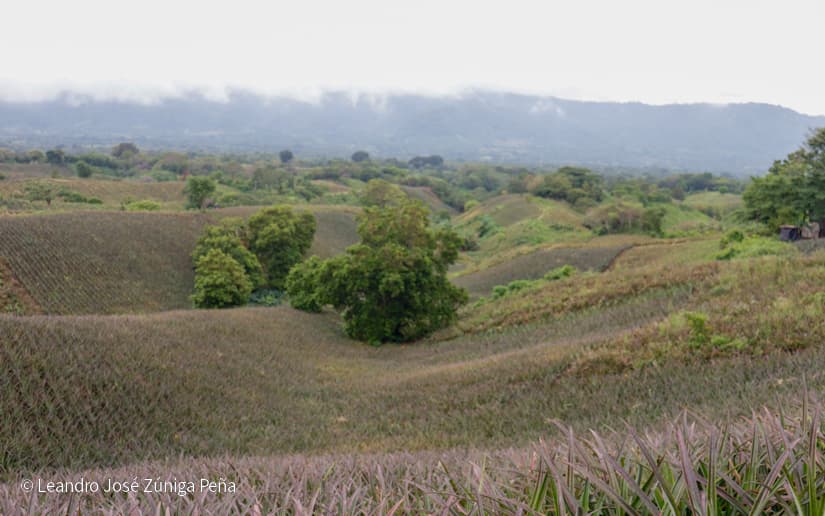 Pinaco-en-Ticuantepe-66