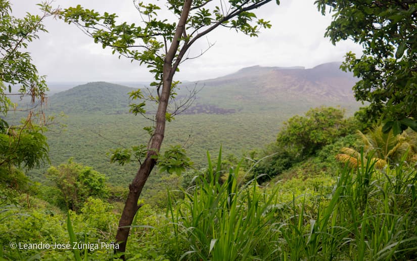 Pinaco-en-Ticuantepe-68