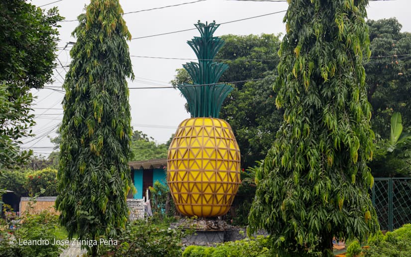 Pinaco-en-Ticuantepe-7