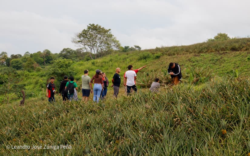 Pinaco-en-Ticuantepe-73