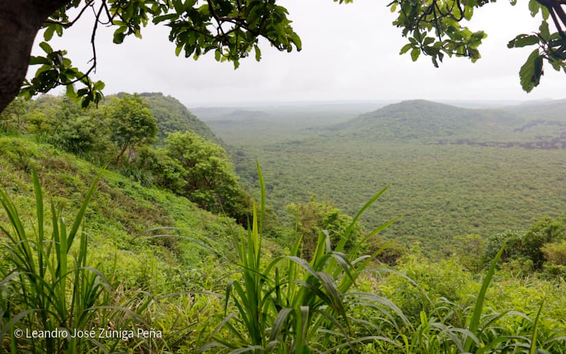 Pinaco-en-Ticuantepe-74