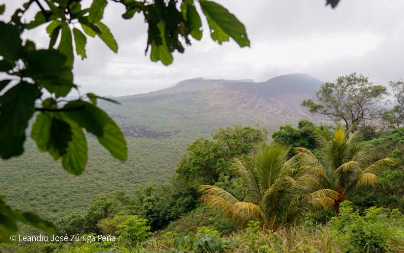 Pinaco-en-Ticuantepe-76