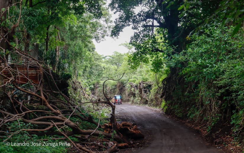 Pinaco-en-Ticuantepe-83
