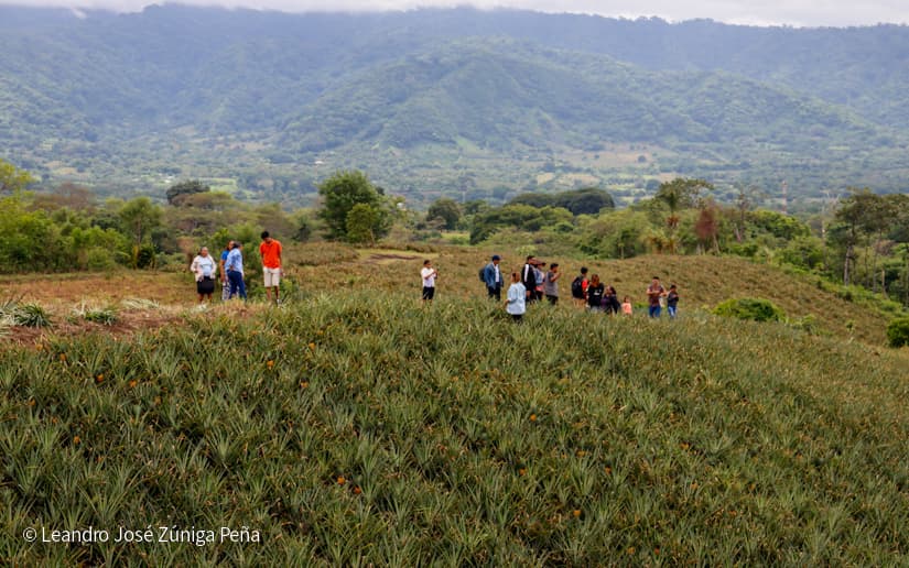 Pinaco-en-Ticuantepe-9