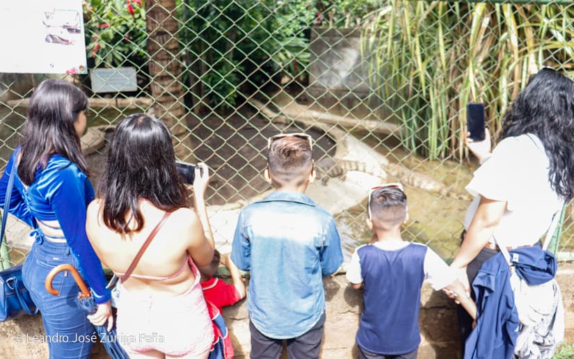 ZOOLOGICO-NACIONAL--(1)