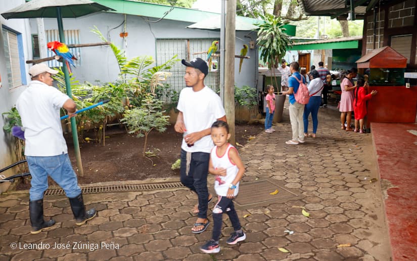 ZOOLOGICO-NACIONAL--(13)