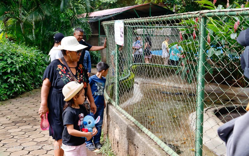 ZOOLOGICO-NACIONAL--(4)
