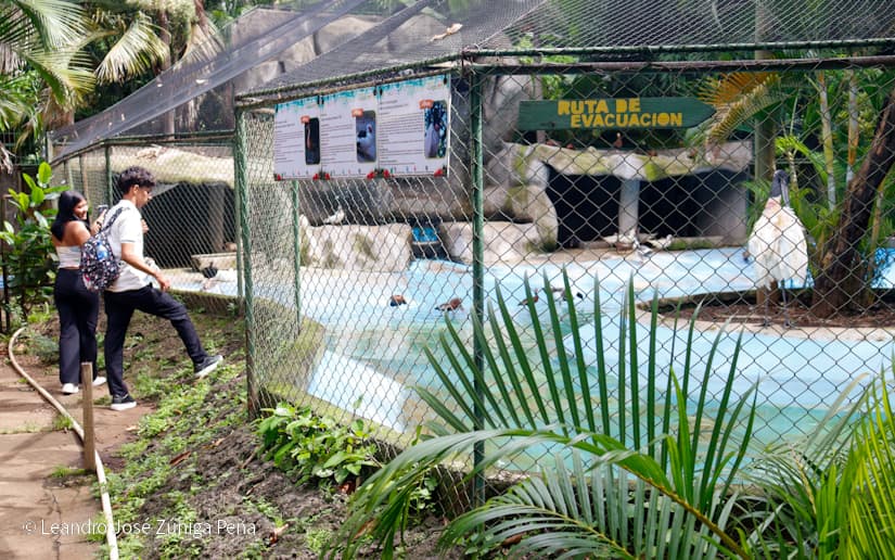 ZOOLOGICO-NACIONAL--(5)