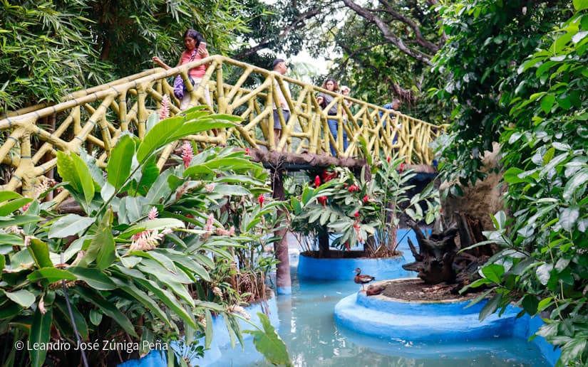 ZOOLOGICO-NACIONAL--(8)