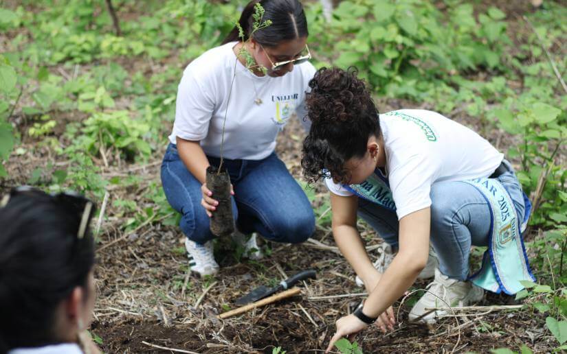 reforestacion-nejapa-13