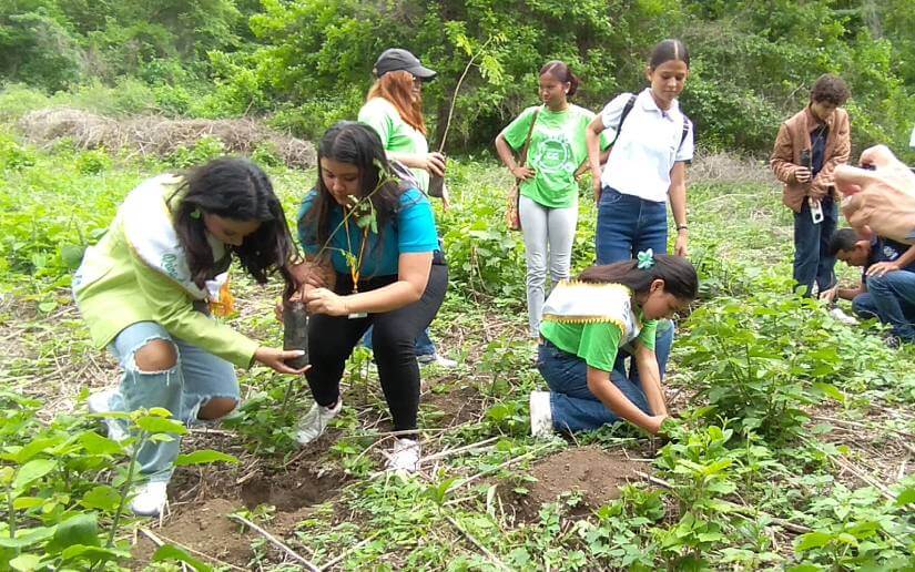 reforestacion-nejapa-3