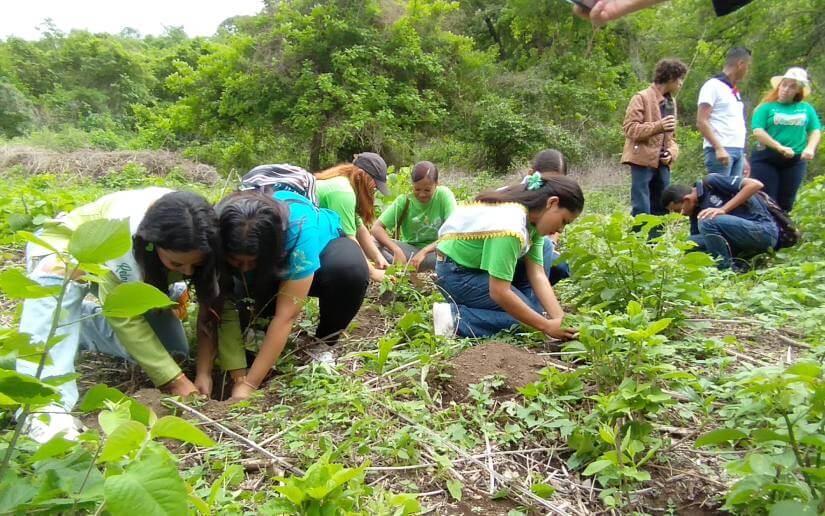 reforestacion-nejapa-4