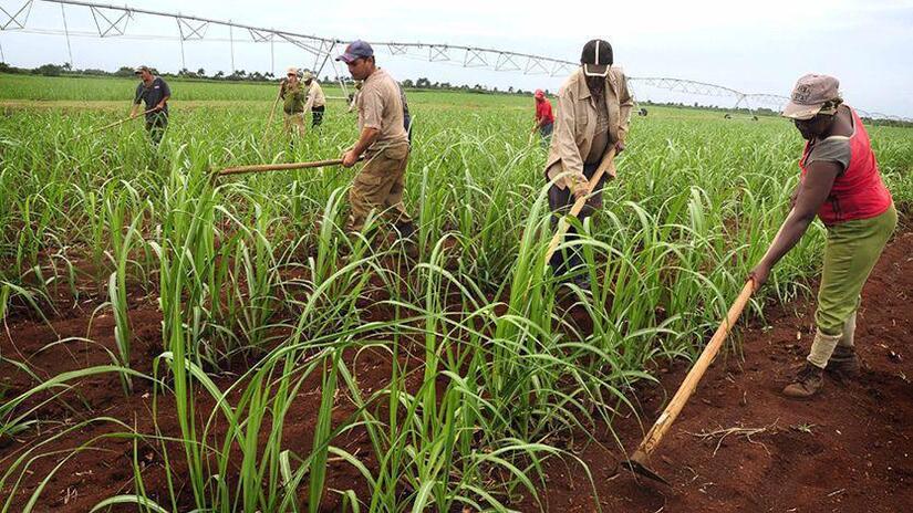 MINISTERIO-AGROPECUARIO--(1)