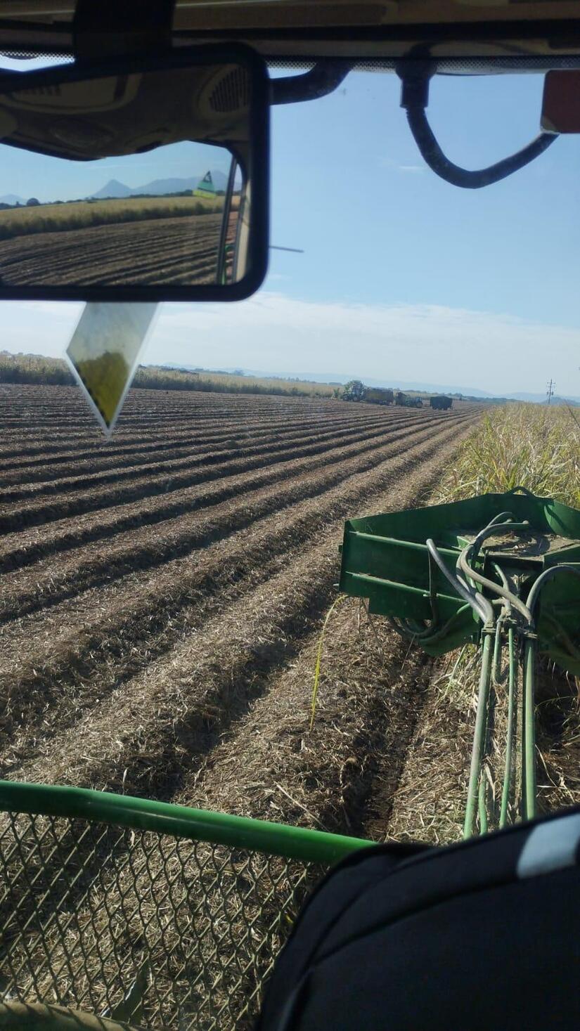 MINISTERIO-AGROPECUARIO--(4)