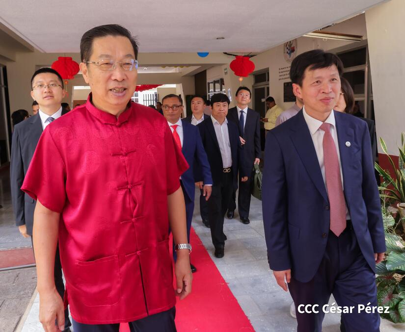 Instituto-Confusio-2