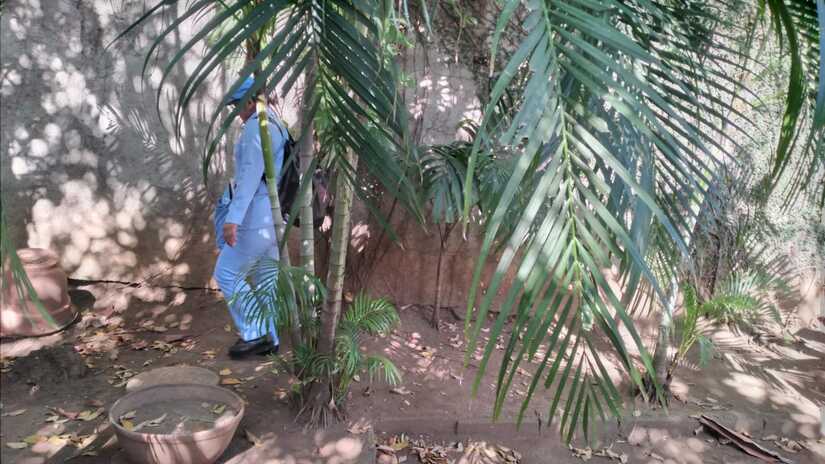 Jornada-de-Fumigacion-5