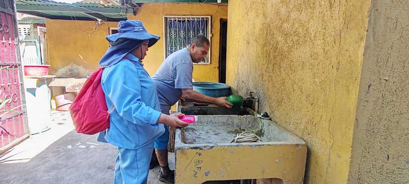 ABATIZACION-Y-FUMIGACION-1