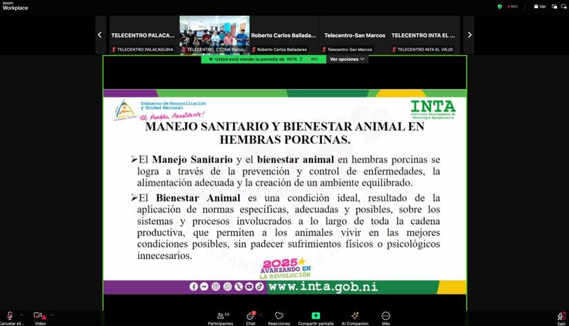 El-Instituto-Nicaraguense-de-Tecnologia-Agropecuaria,-INTA,-en-el-Auditorio-Maria-Castil-del-INTA-Central,-Managua,-realizo-Foro-Nacional-sobre-Manejo-Sanitario-y-Bienestar-animal-en-granjas-porcinas-4
