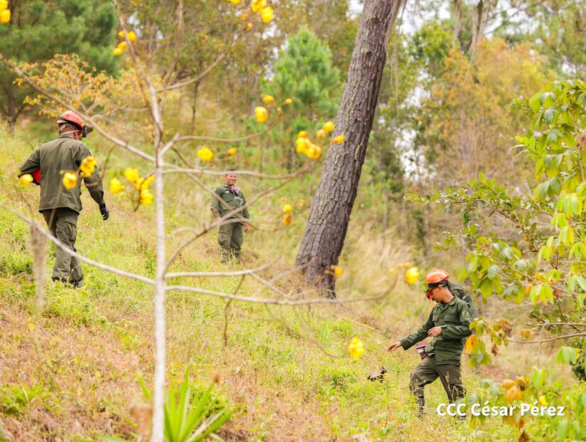 Ejercicio-Internacional-8