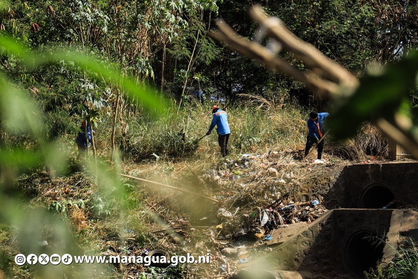 Alcaldia-de-Managua-2