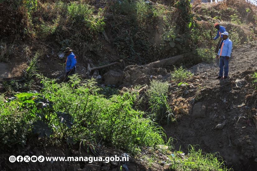 Alcaldia-de-Managua-6