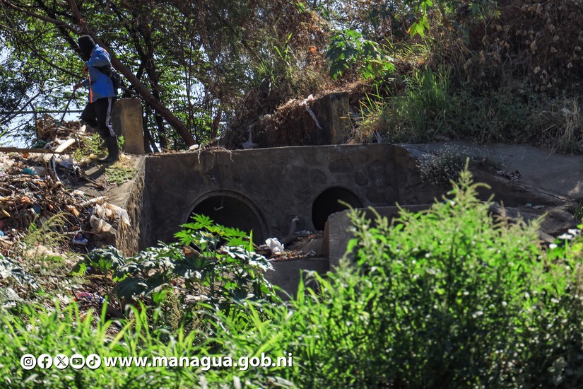 Alcaldia-de-Managua-7