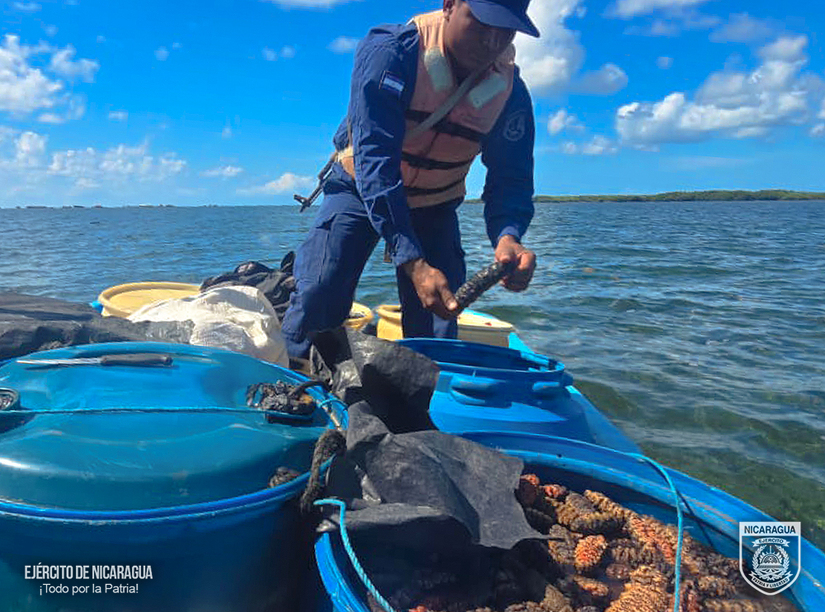 DNC-OCUPACION_0002_3