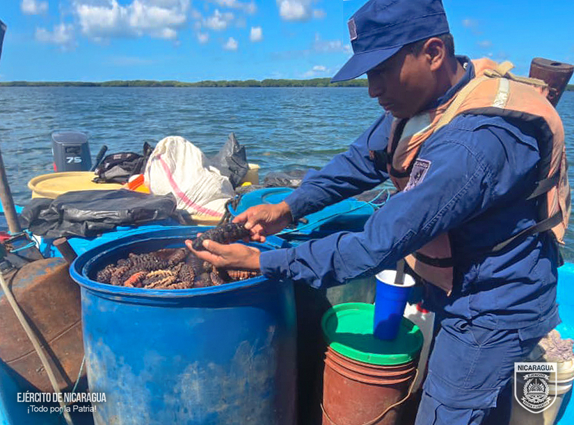 DNC-OCUPACION_0003_4