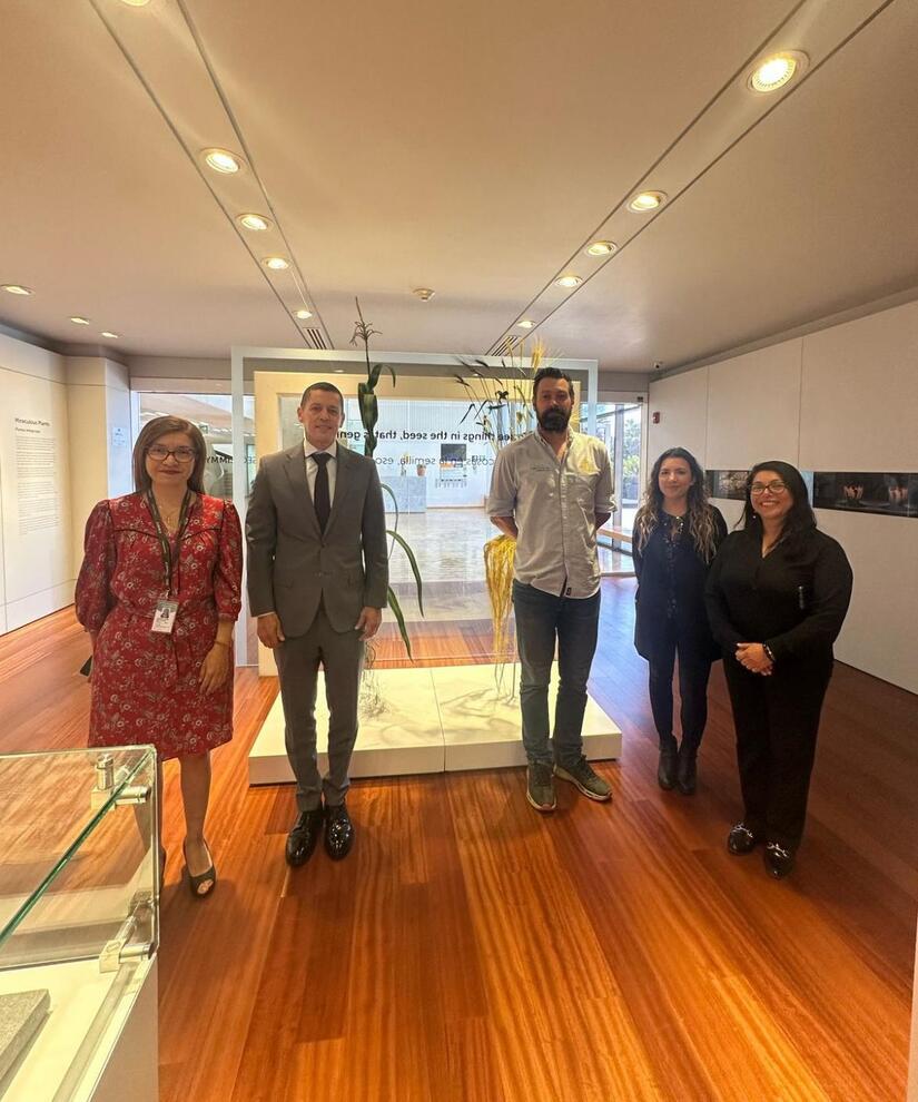 Embajada-de-Nicaragua-en-Mexico-10