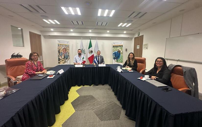 Embajada-de-Nicaragua-en-Mexico-7