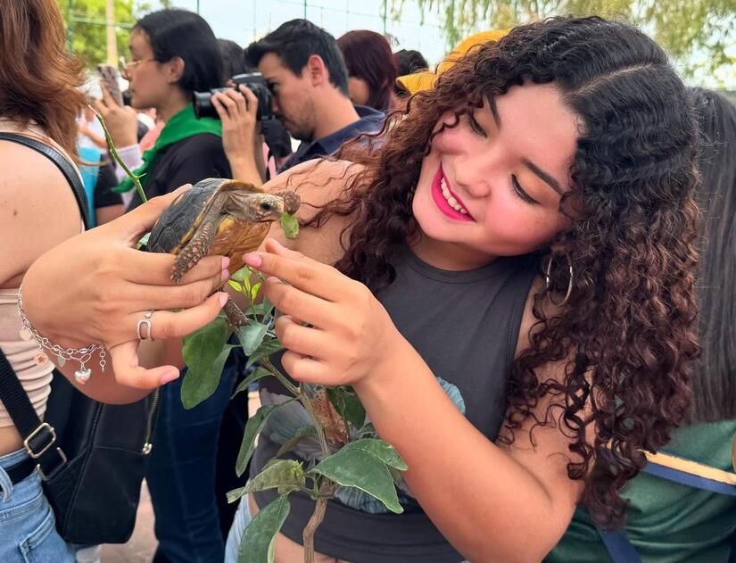 Festivales-de-Bienvenida-a-Estudiantes-12