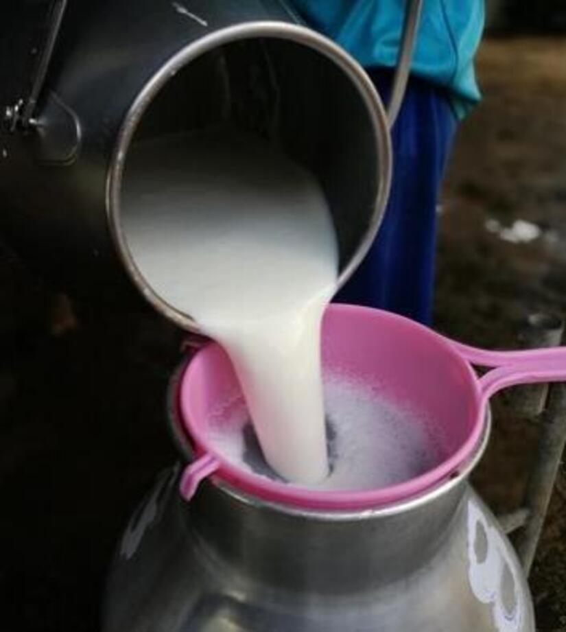 Produccion-de-leche-4