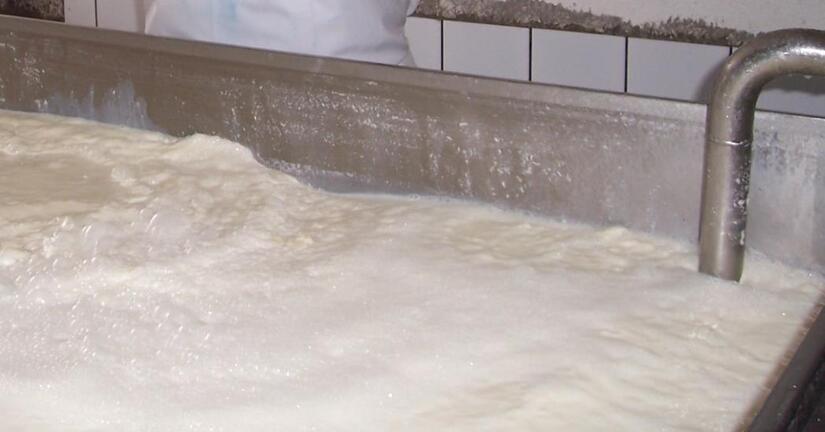 Produccion-de-leche-5