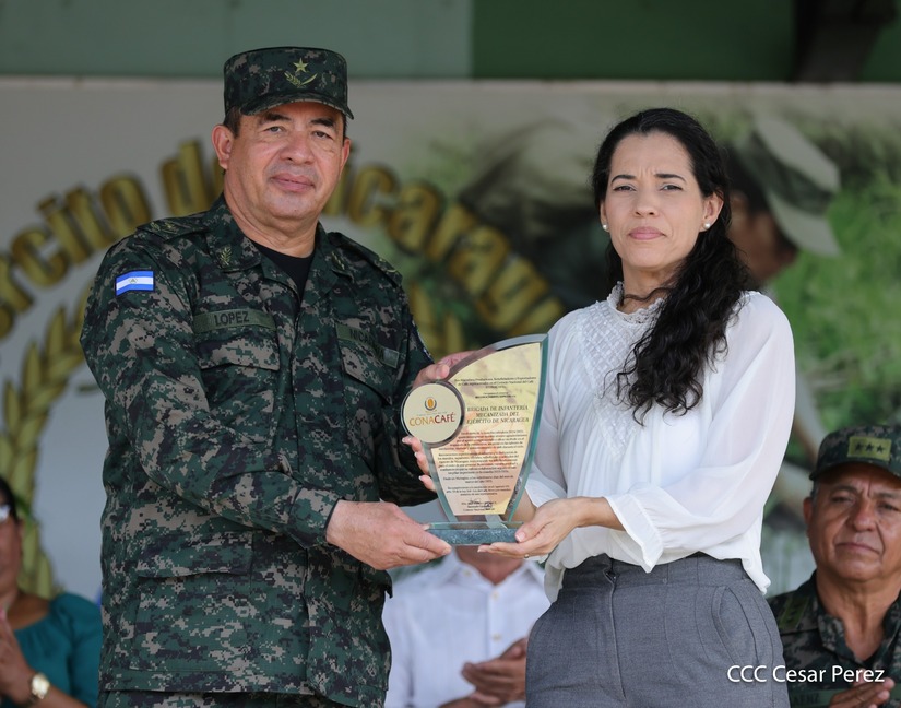 Produccion-Cafetalera--(13)