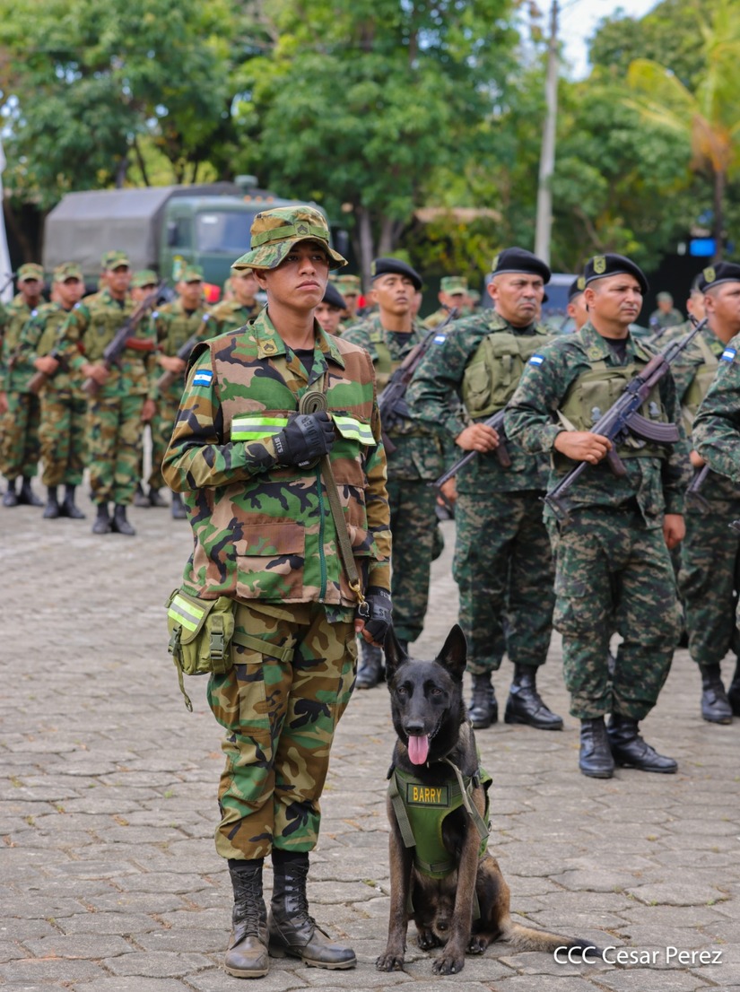 Produccion-Cafetalera--(16)