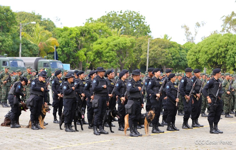 Produccion-Cafetalera--(2)