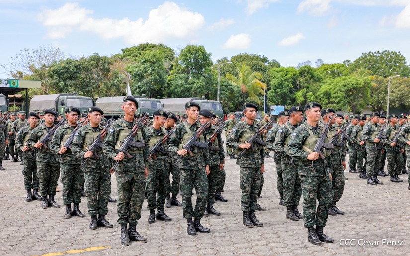 Produccion-Cafetalera--(3)