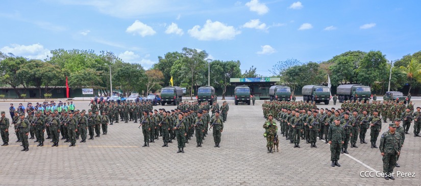 Produccion-Cafetalera--(30)